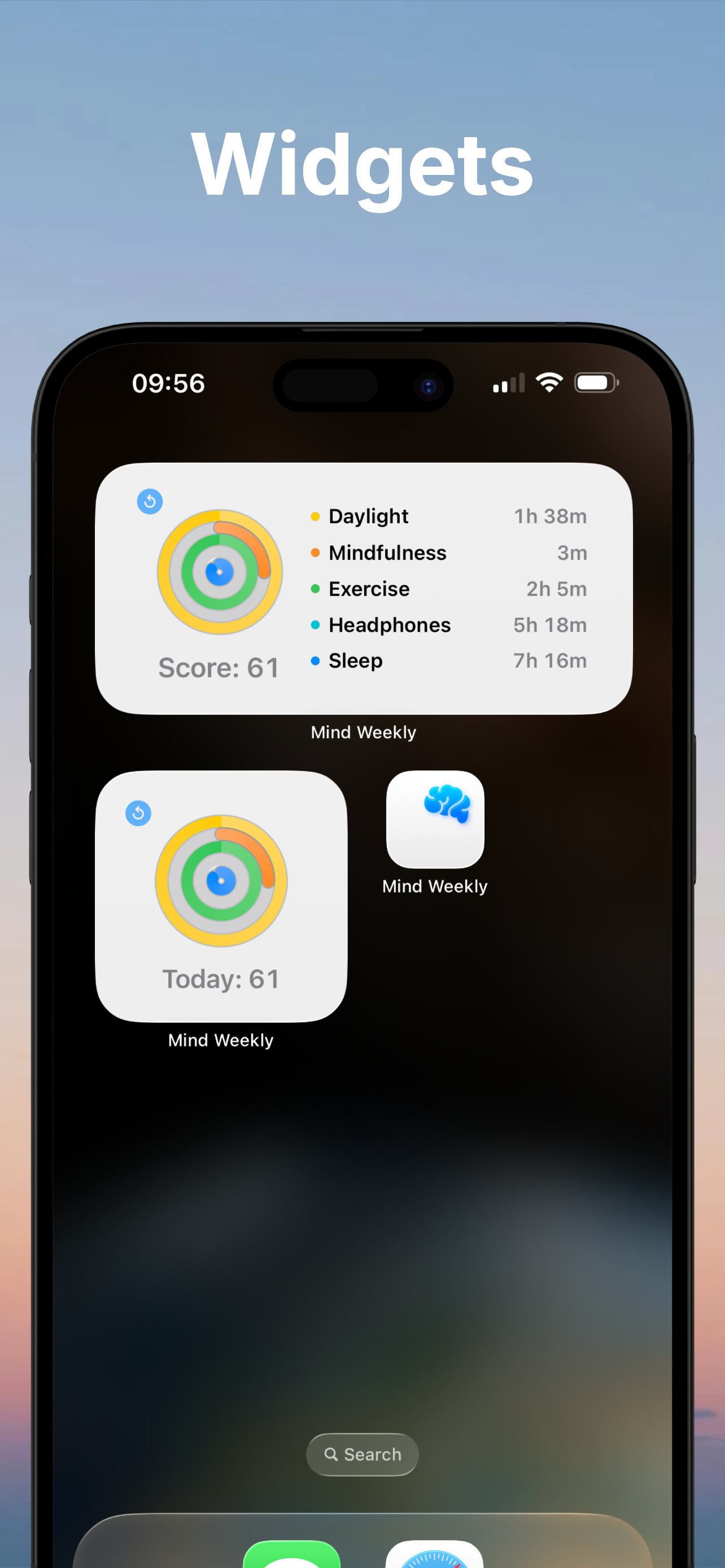 iOS home screen widgets showing activity rings